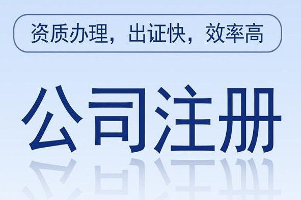 在頂呱呱新公司注冊(cè)，選一般納稅人好還是小規(guī)模納稅人好？